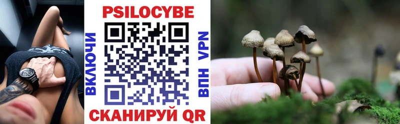 shop какой сайт  Реутов  Галлюциногенные грибы мицелий  закладки 